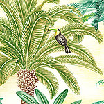 Toucan in Palme sitzend