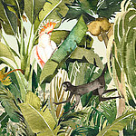 Cacatoès et singe dans la jungle