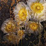Beeindruckende Details - View 4