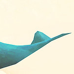 Nageoire de queue de baleine