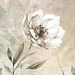 White flower in watercolour
