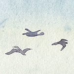 Three minimalist birds in black flying in the sky