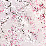 Rosa Kirschblüten mit pinken und weißen Akzenten