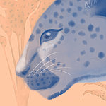 Tigre blu - View 1