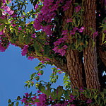 Beeindruckende Details - View 4