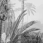 Motif de jungle en noir et blanc