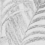 Fine drawing of leaf in grey - View 1