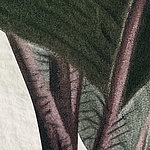 Hoja verde y estilo morado - View 1