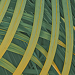 Feuille de distance Vert et orange - View 1