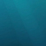 Underwater motif in dark blue