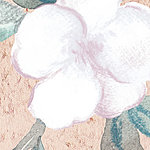 Large flower in detail in white and pastel pink
