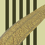Golden leaf in front of black stripes