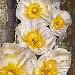 Beeindruckende Details - View 5