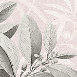 Drawn leaves on pink background
