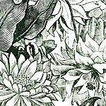Dunkelgrün gezeichnete Blumen - View 1