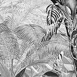 Jungle motif in black and white