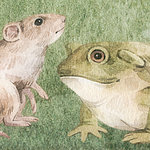 Cuddly Buddies Details Frosch und Maus - View 1