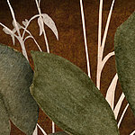 Green plant and brown background
