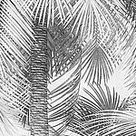 Palmenmotiv in schwarz-weiß Optik