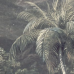 Palmier sur fond gris foncé