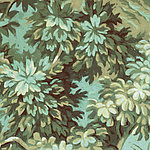 Buisson de feuilles dans différentes nuances de vert