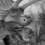Голова динозавра в черно-белом цвете
