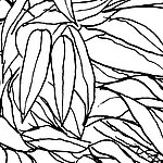 Dichte Blätter in gezeichneter schwarz-weiß Optik