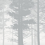 Trees painted in grey on a light grey background