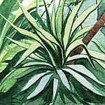 Нарисованное зеленое растение