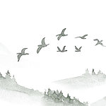Oiseaux peints de manière minimaliste avec un panorama de forêt en arrière-plan