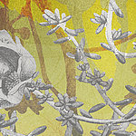 Grey flower branches on a yellow background