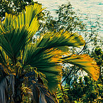Détails impressionnants - View 2
