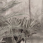 Palm tree leaves - View 1