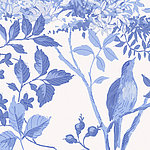 Растения синего цвета на белом фоне