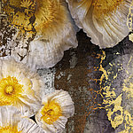 Beeindruckende Details - View 1