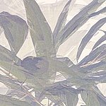 Leaves in faded green