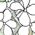 Белые цветы, нарисованные в стиле Line Art