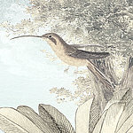 Oiseau dessiné avec un long bec, feuilles et arbres en arrière-plan