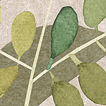 Pflanze mit grünen und olivfarbenen Blättern