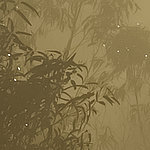 Pflanzen mit Nebel