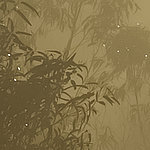 Plantas con niebla - View 1
