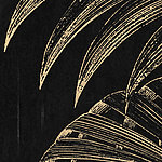 Detail palm tree