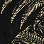 Detalle palmera - View 1