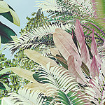 Large tropical leaves