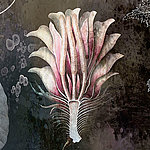 Fleur rose - View 1