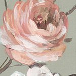Fleur de rose peinte en abricot