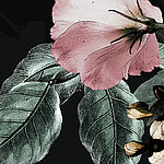 Gros plan sur une fleur rose et des feuilles vertes