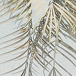 Close-up of palm leaves on light blue background
