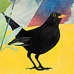 Painted raven on yellow-blue background