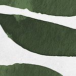 Vert et blanc - View 1